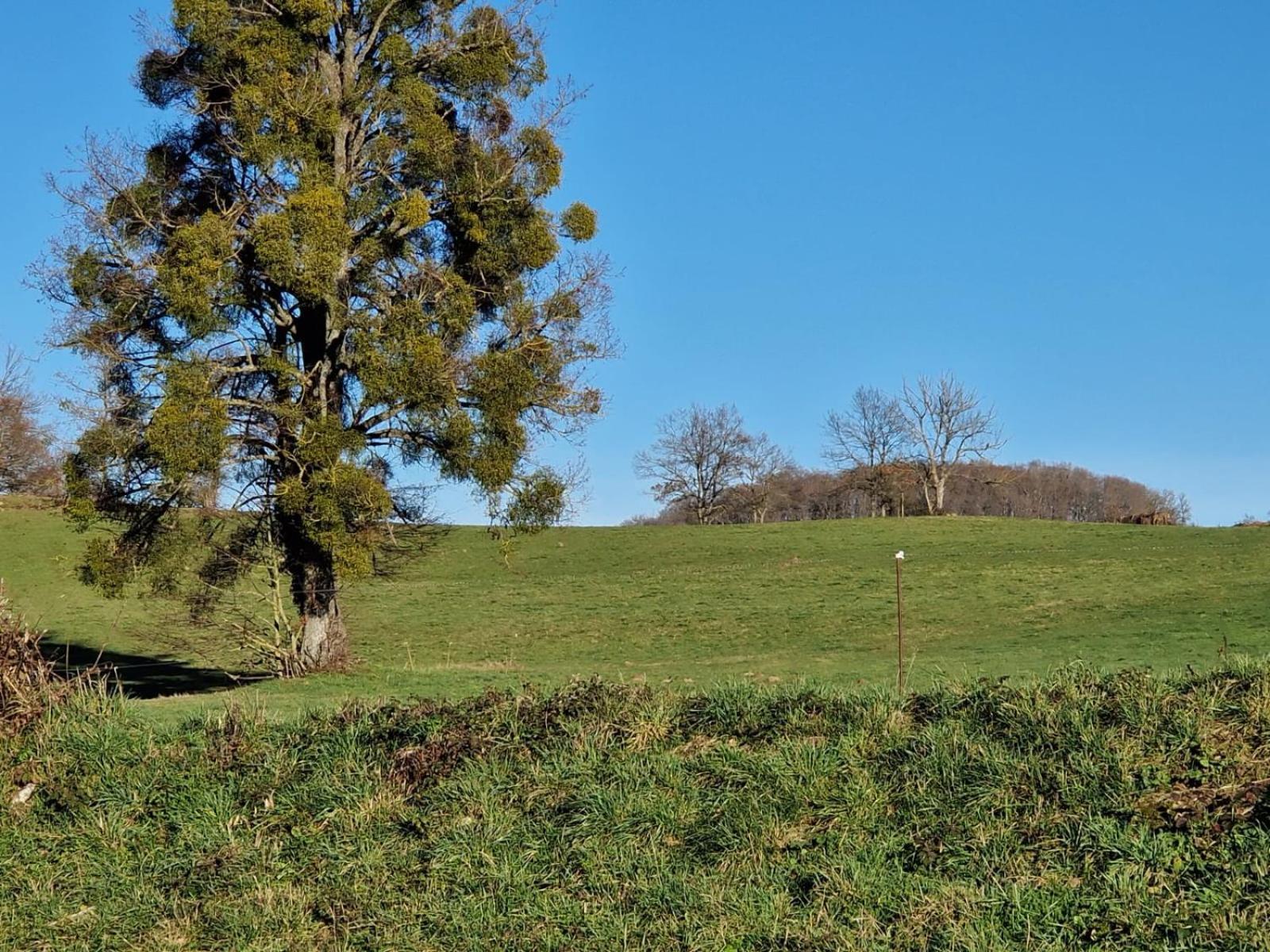 La Campagne Villa Dontreix Luaran gambar